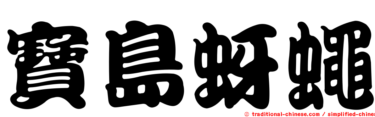 寶島蚜蠅