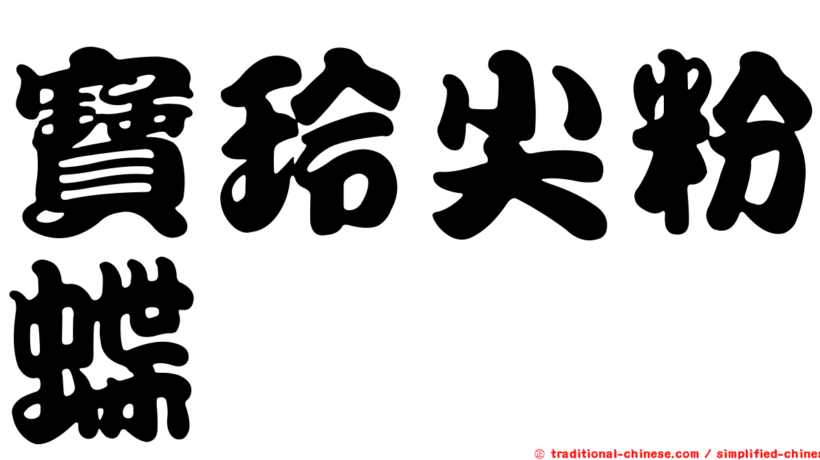 寶玲尖粉蝶