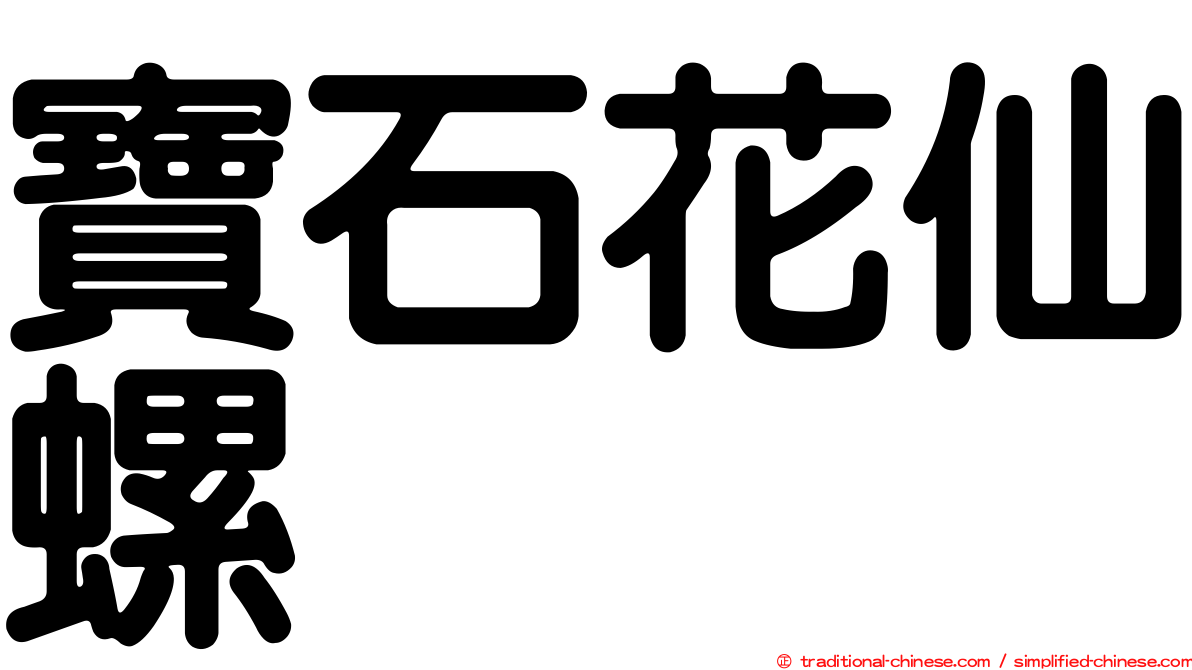 寶石花仙螺