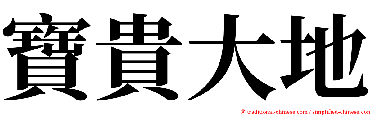 寶貴大地 serif font