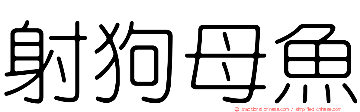 射狗母魚