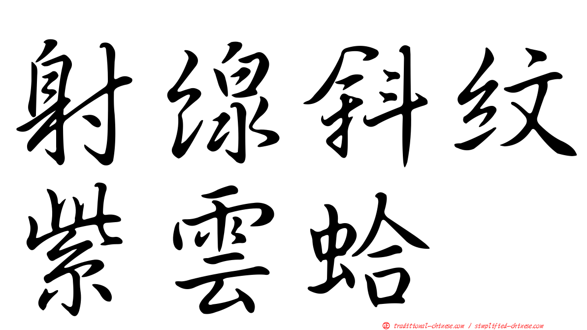 射線斜紋紫雲蛤