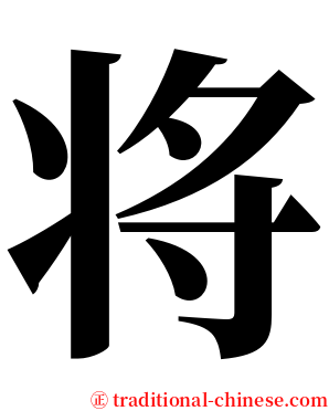 将 serif font