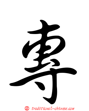 專