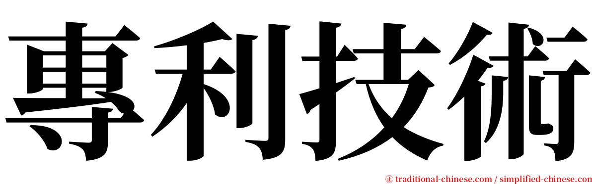 專利技術 serif font