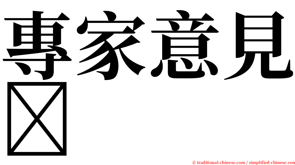 專家意見 serif font