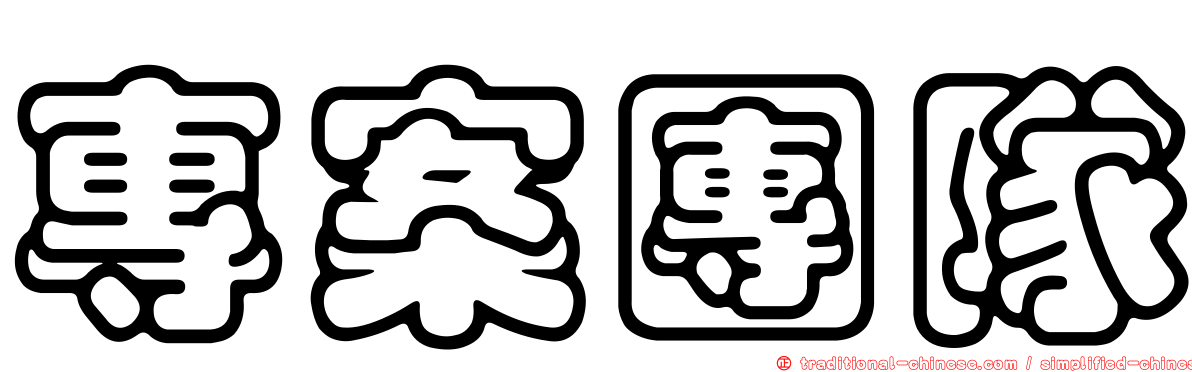 專案團隊