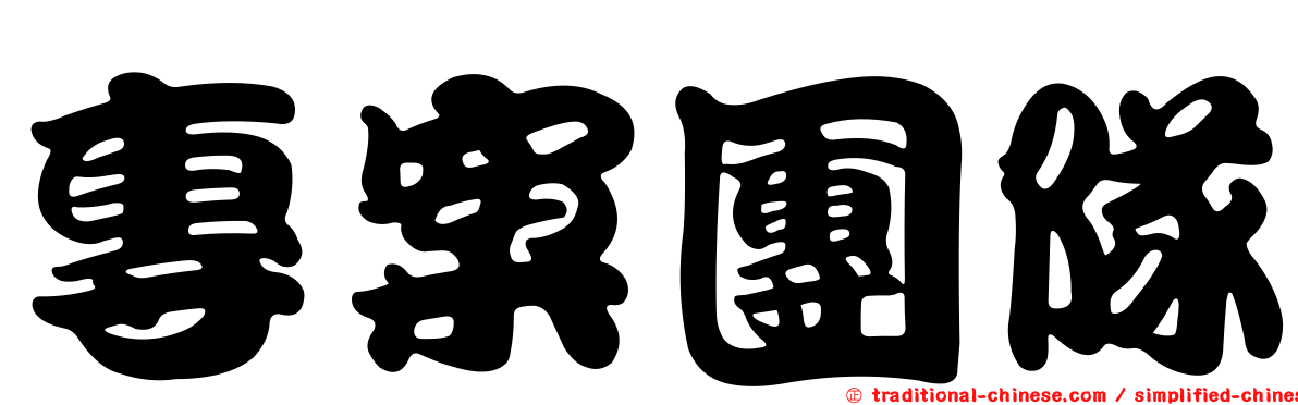專案團隊