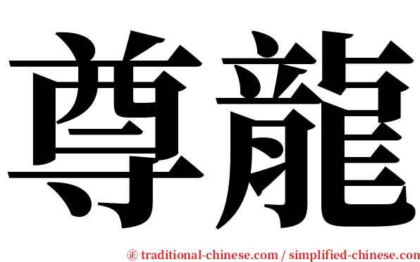 尊龍 serif font