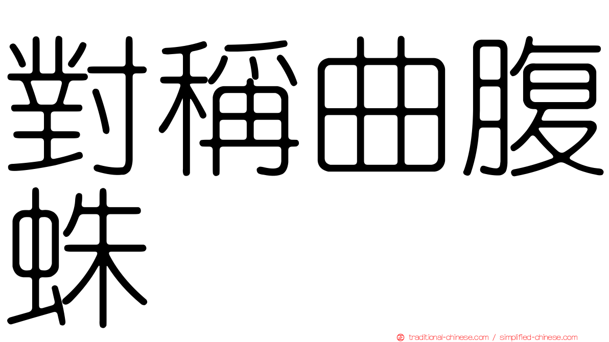 對稱曲腹蛛