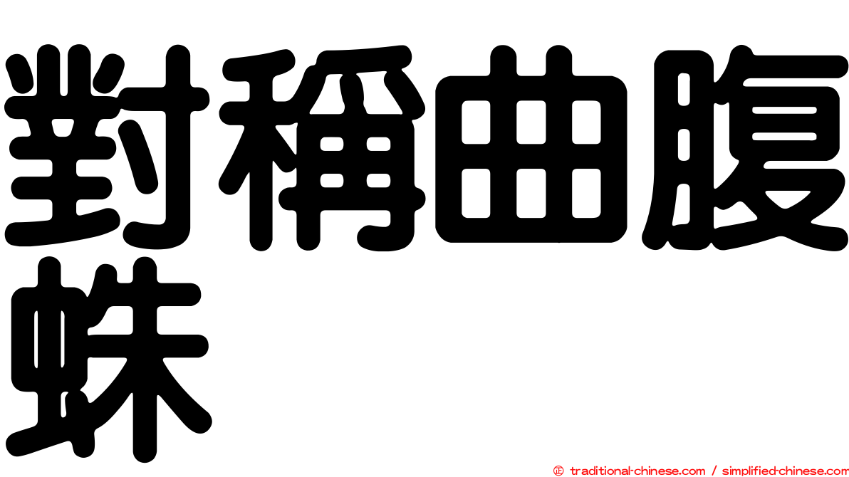 對稱曲腹蛛