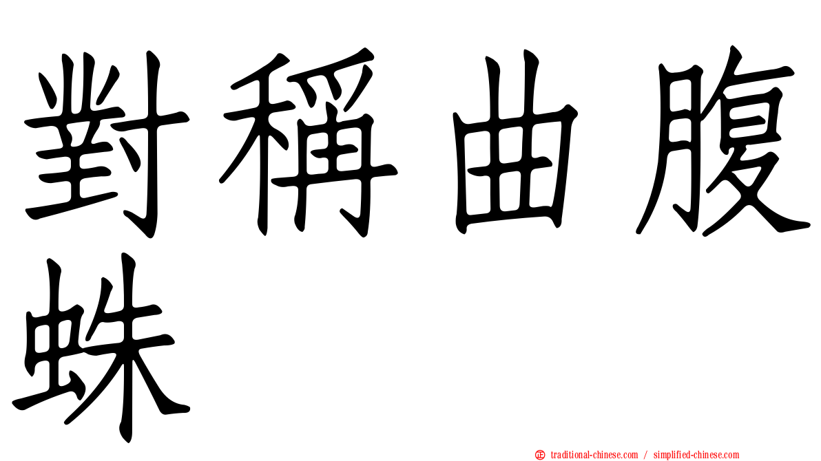 對稱曲腹蛛
