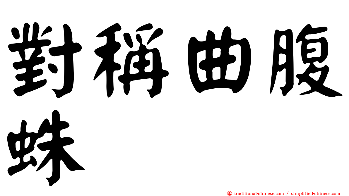 對稱曲腹蛛