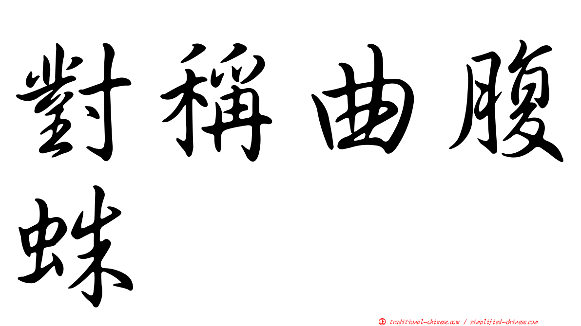 對稱曲腹蛛