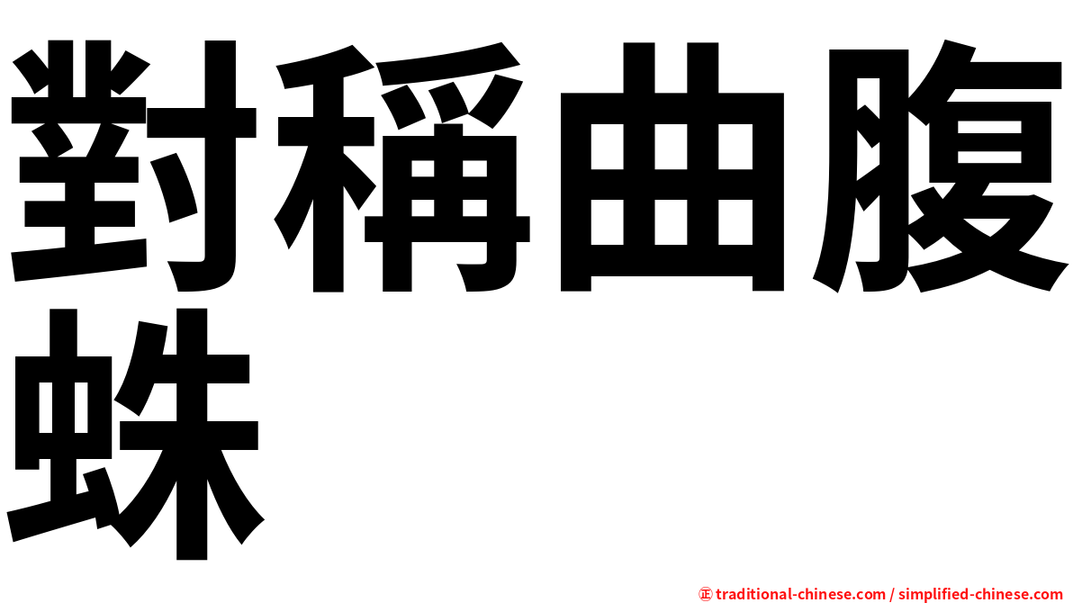 對稱曲腹蛛
