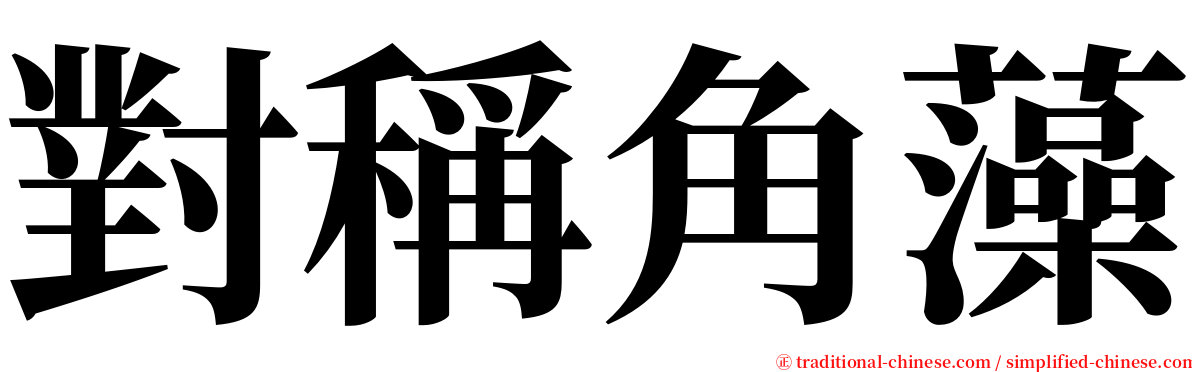 對稱角藻 serif font