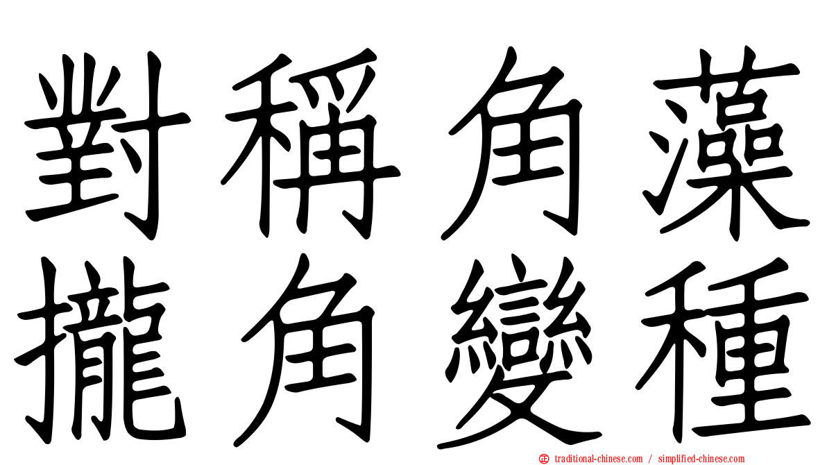 對稱角藻攏角變種
