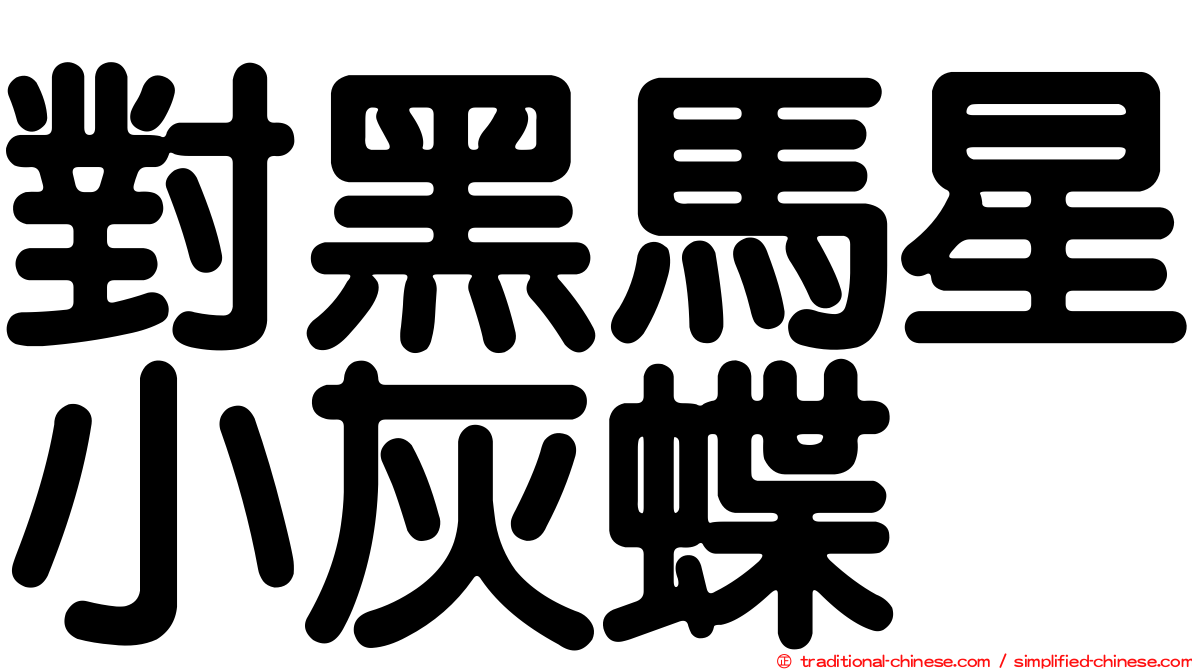 對黑馬星小灰蝶