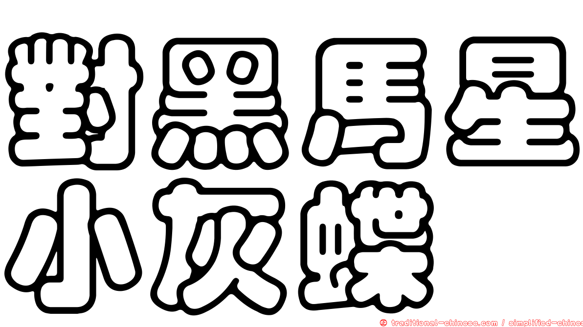 對黑馬星小灰蝶
