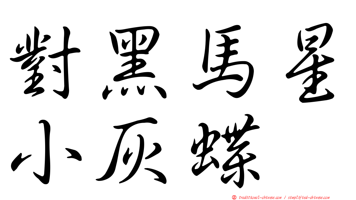 對黑馬星小灰蝶