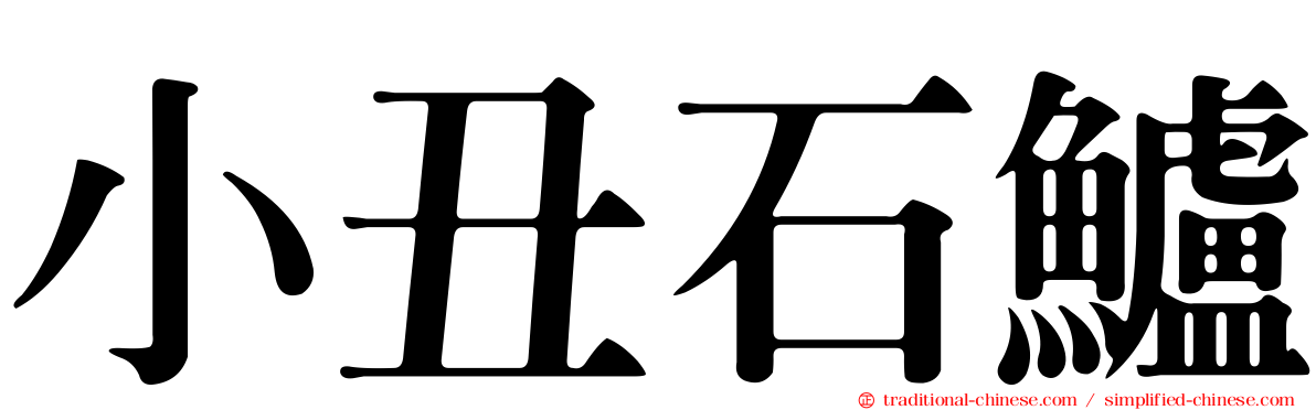 小丑石鱸