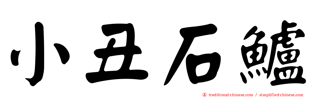 小丑石鱸