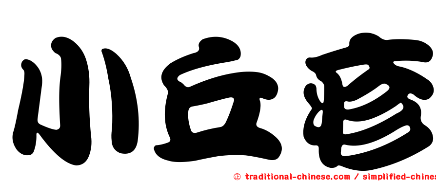小丘疹