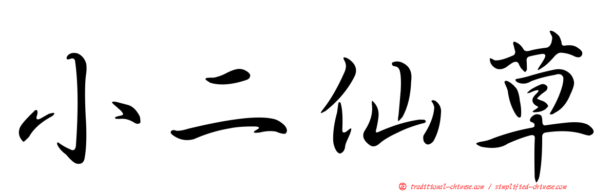 小二仙草