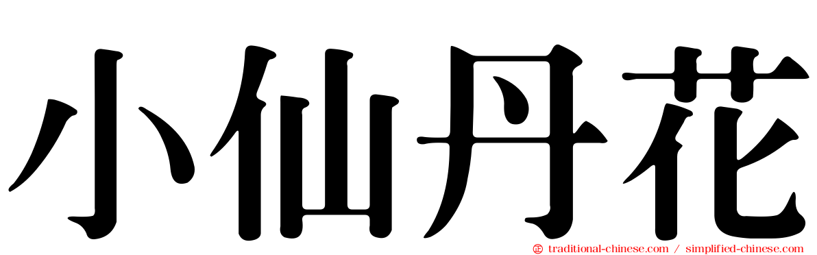 小仙丹花