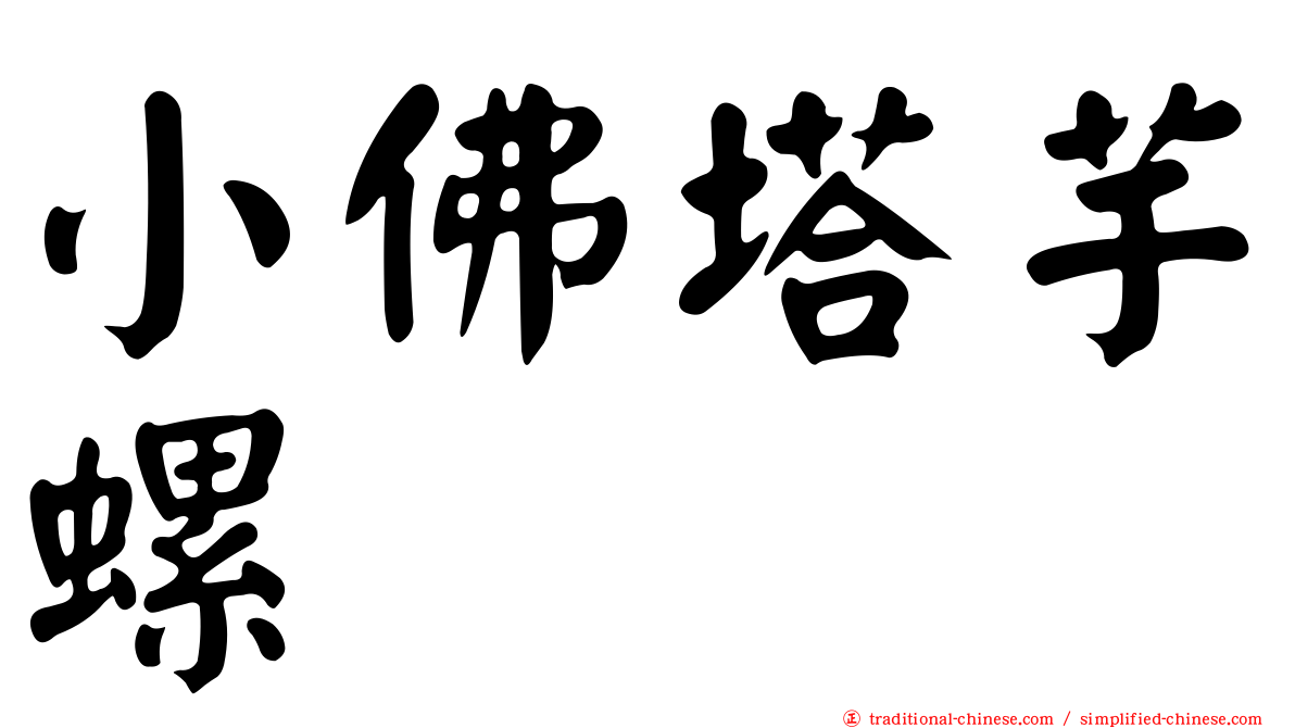 小佛塔芋螺