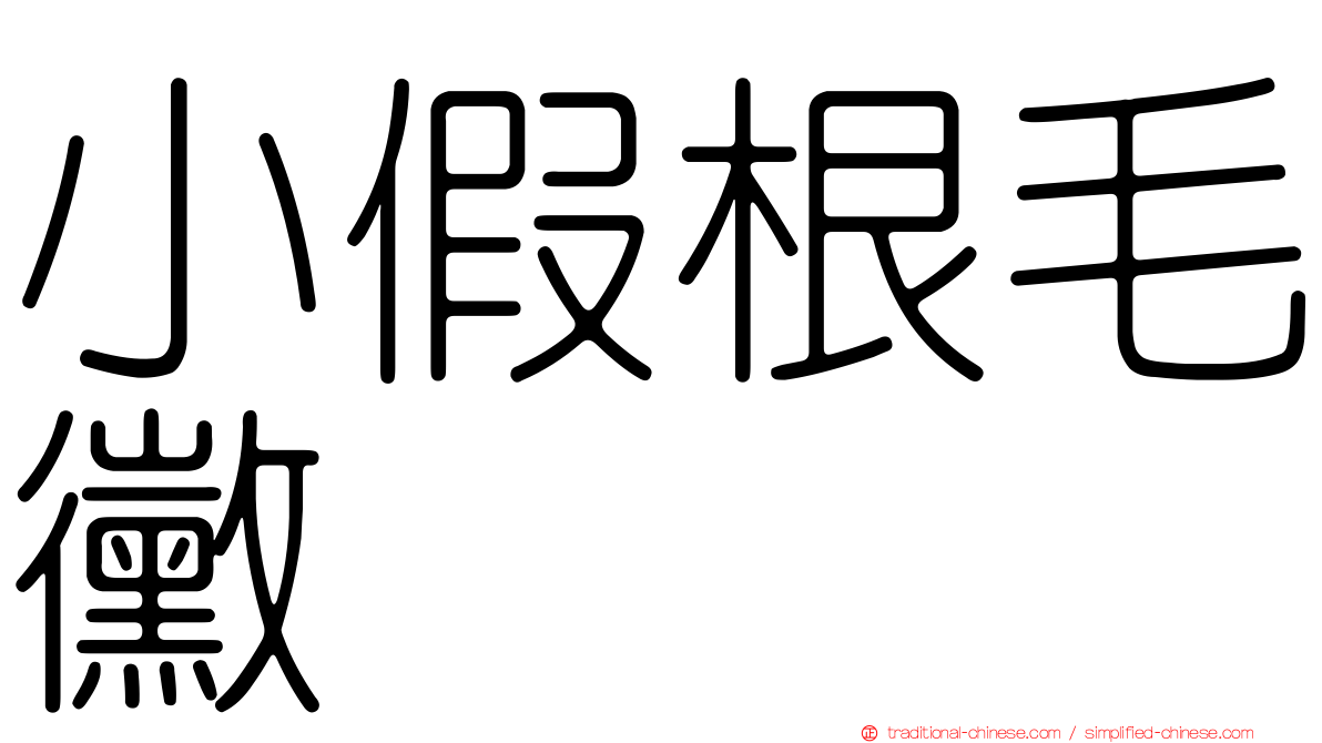 小假根毛黴