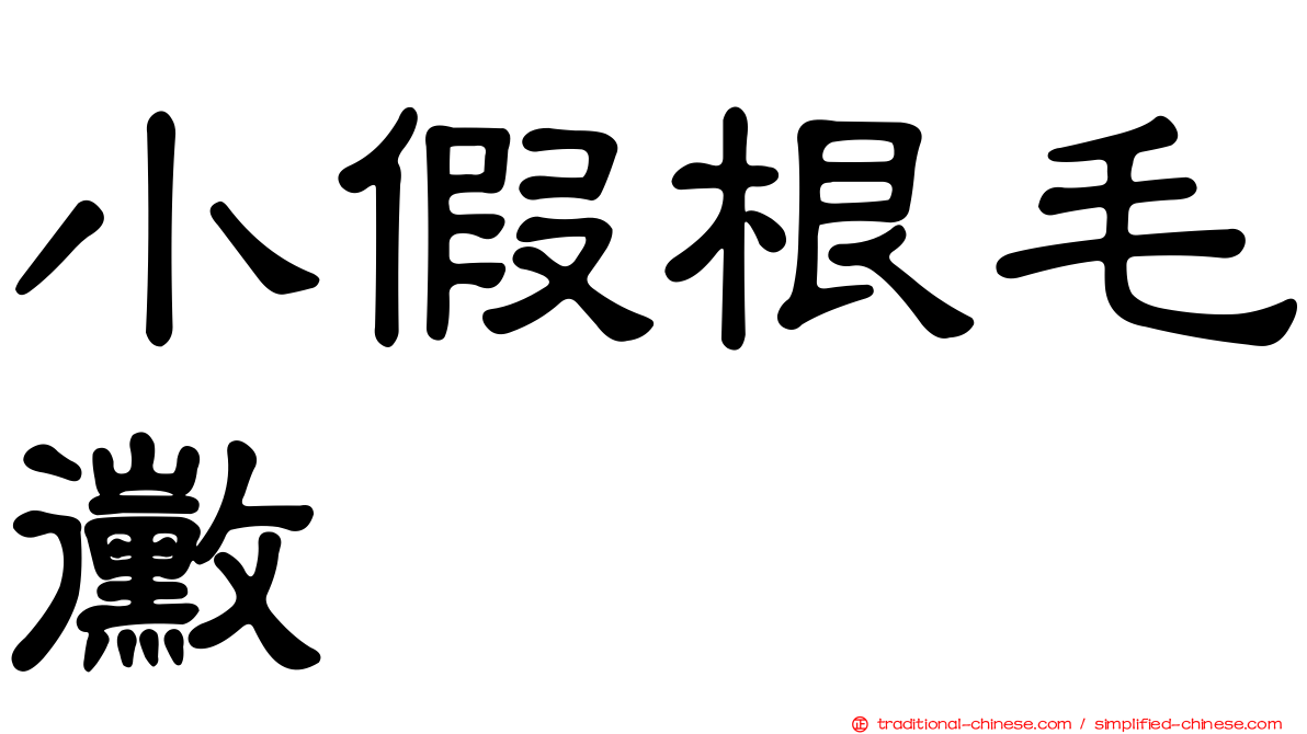 小假根毛黴