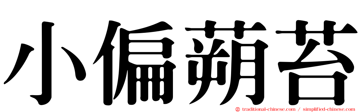 小偏蒴苔