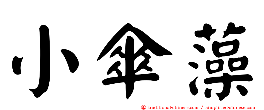 小傘藻