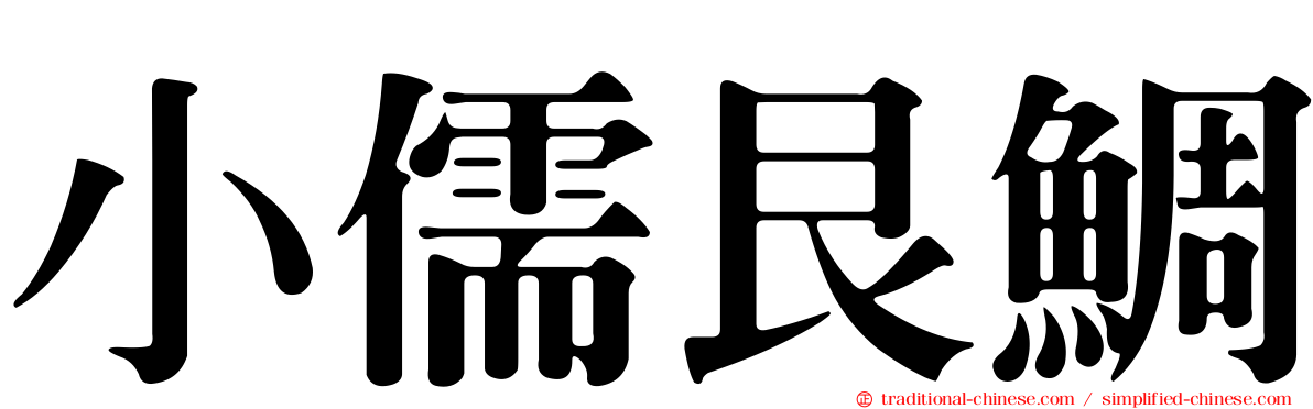 小儒艮鯛