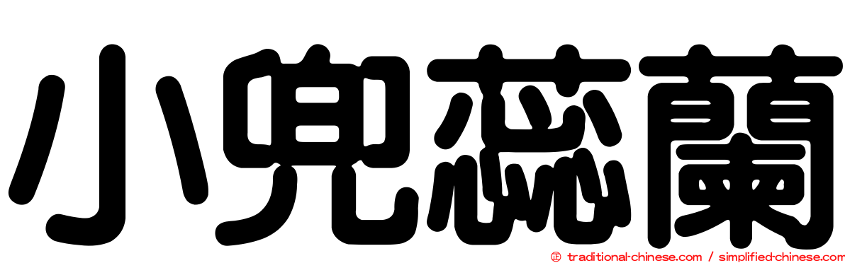 小兜蕊蘭