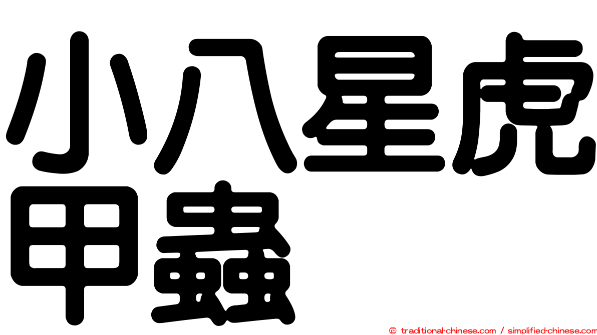 小八星虎甲蟲