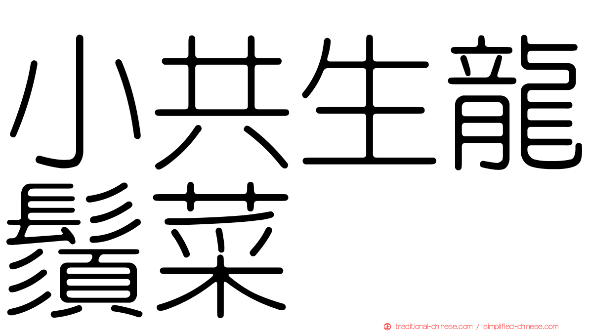 小共生龍鬚菜