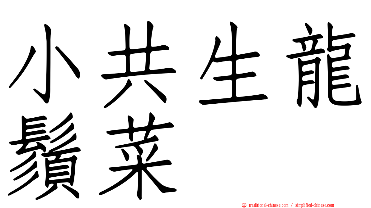 小共生龍鬚菜