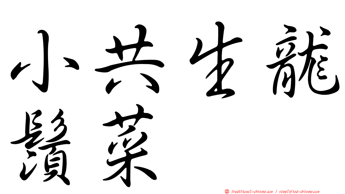 小共生龍鬚菜