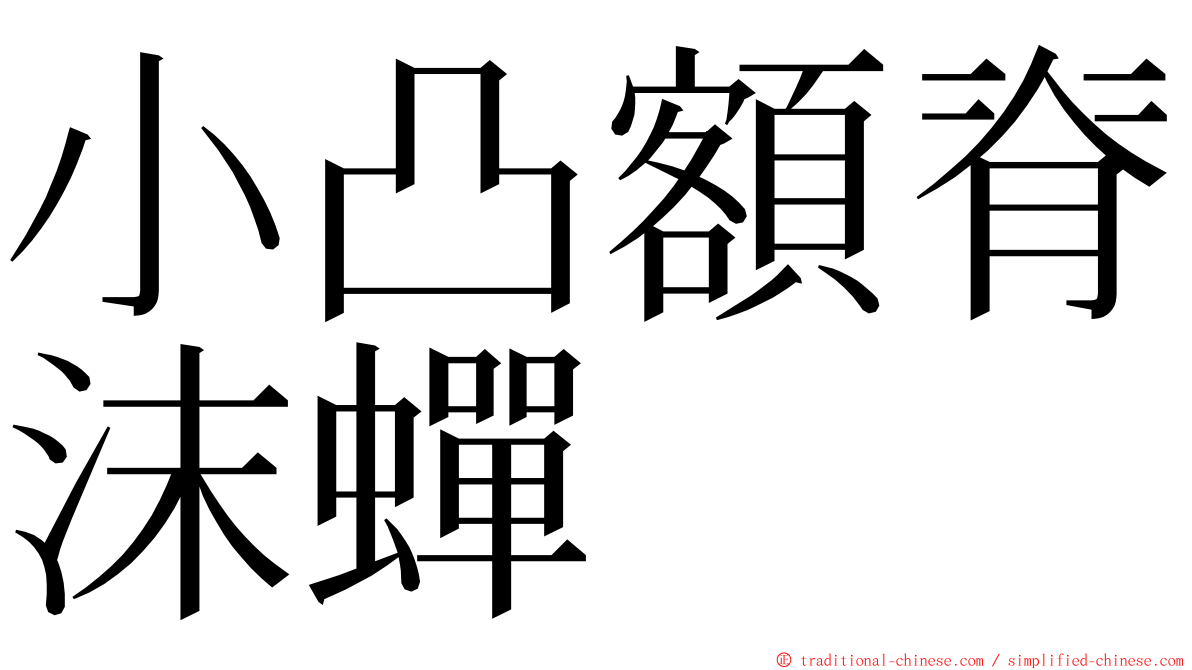 小凸額脊沫蟬 ming font