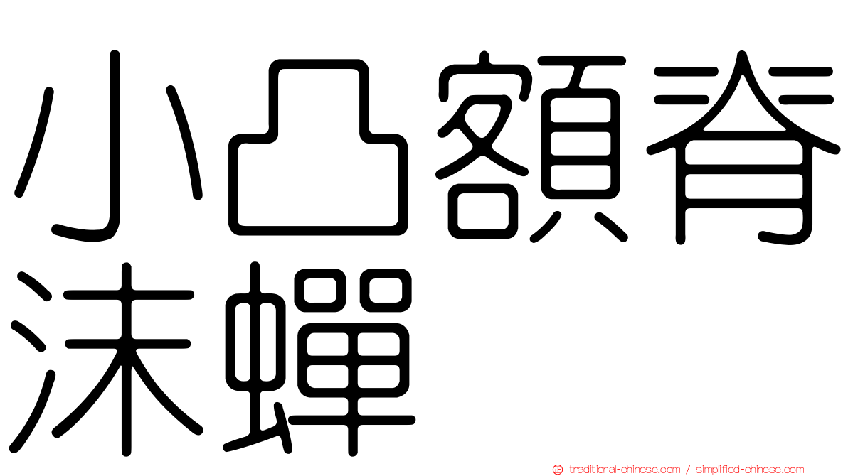 小凸額脊沫蟬