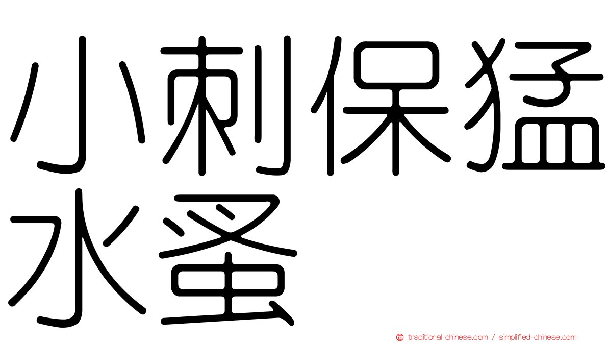 小刺保猛水蚤