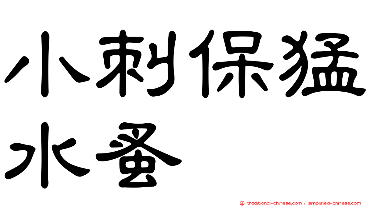 小刺保猛水蚤