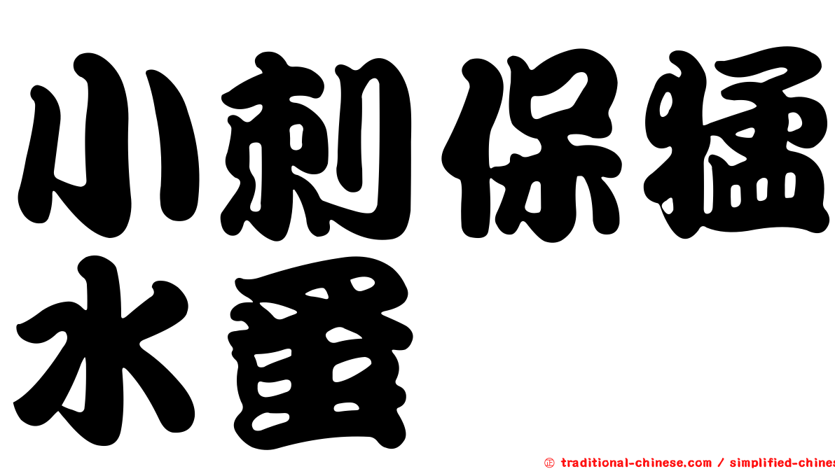 小刺保猛水蚤