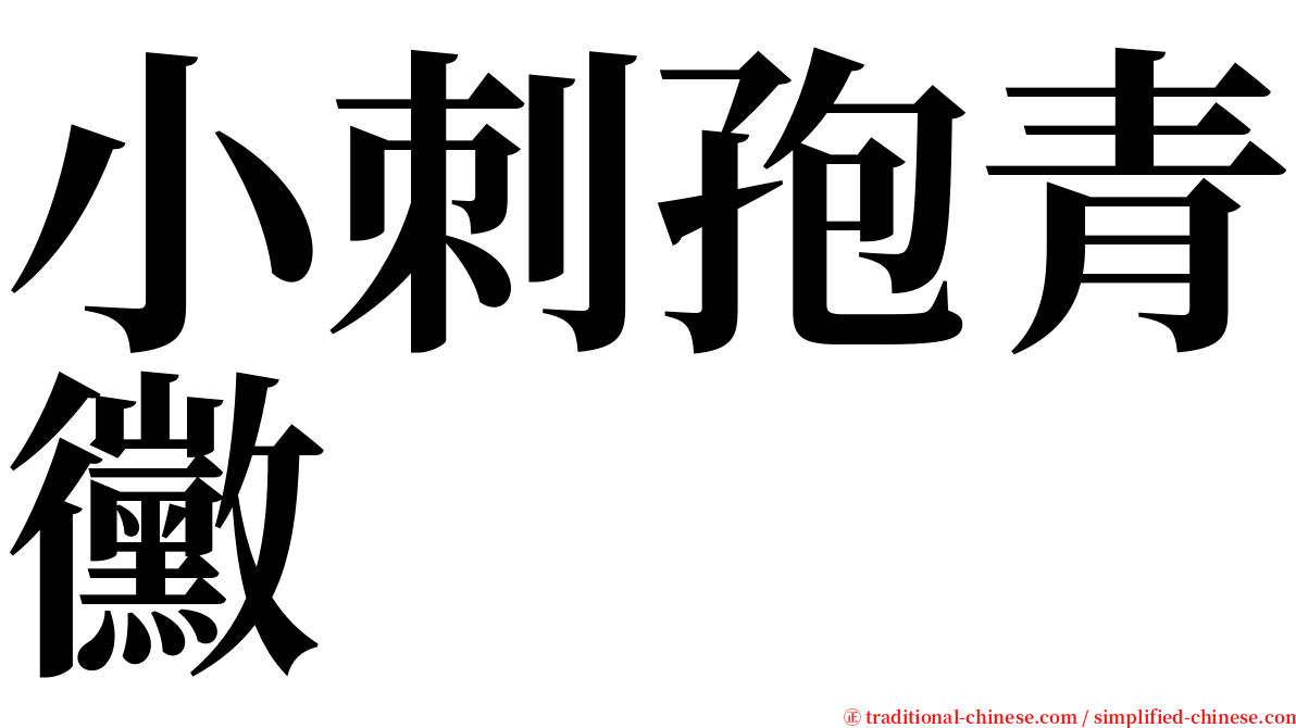 小刺孢青黴 serif font