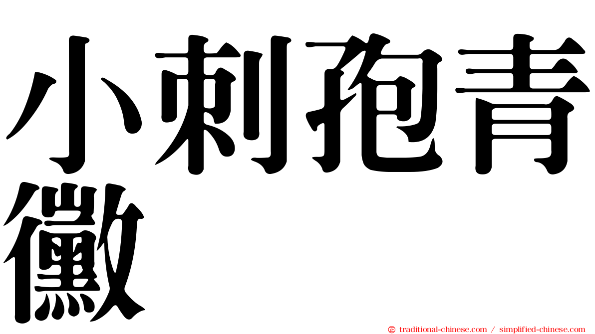 小刺孢青黴