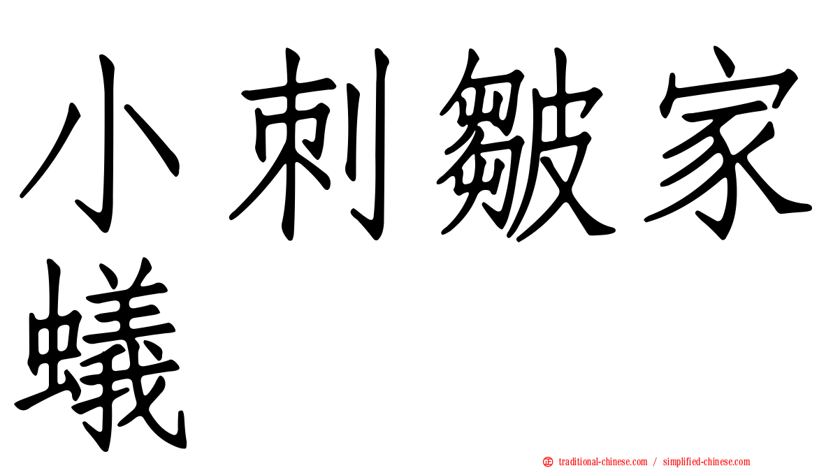 小刺皺家蟻