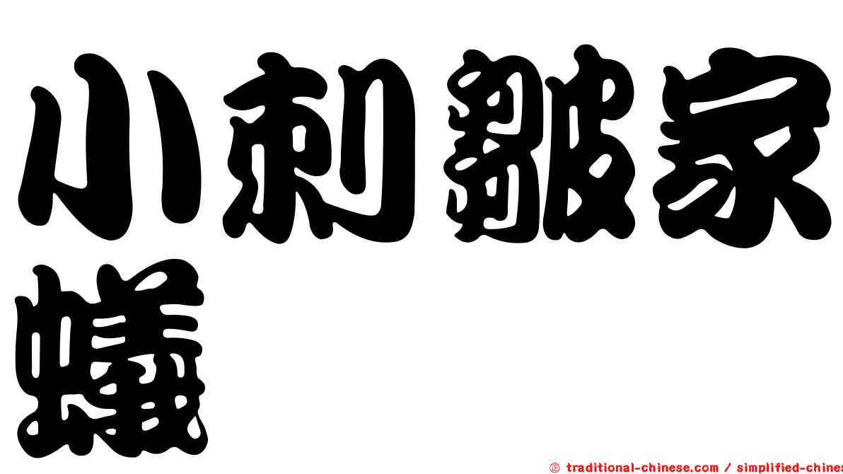 小刺皺家蟻