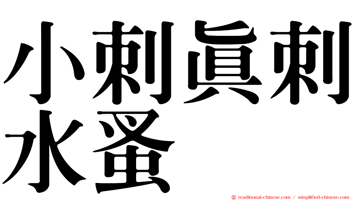 小刺真刺水蚤